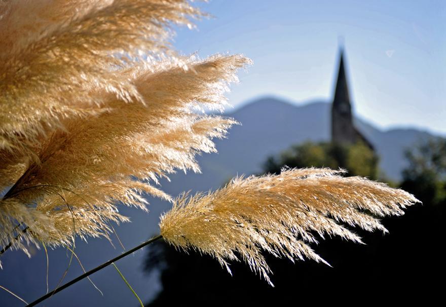Tollhof Villa Bolzano Exterior photo
